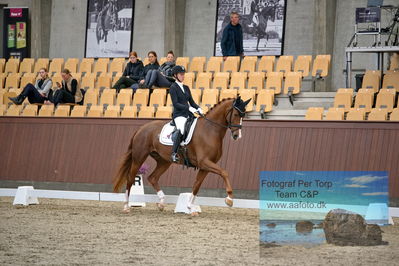 Blue Hors
dressage 5 års
Keywords: kathrine springborg;springborgs abiza