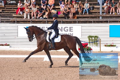 2023 CDI3 GP - Grand Prix (GP) by Hannell & Brink
Keywords: pt;anna tallberg;grevens zorro