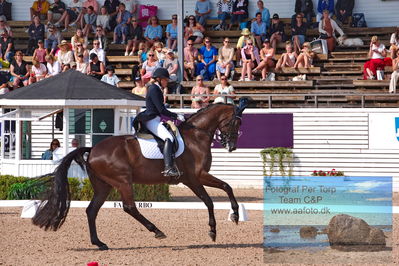 2023 CDI3 GP - Grand Prix (GP) by Hannell & Brink
Keywords: pt;anna tallberg;grevens zorro