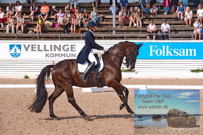 2023 CDI3 GP - Grand Prix (GP) by Hannell & Brink
Keywords: pt;anna tallberg;grevens zorro