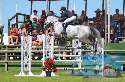 Horseware 7-årschampionat hoppning | 2023
Keywords: pt;karen moeller rohde;davos ask z