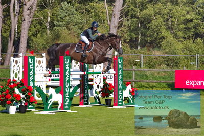 2Horseware 7-årschampionat | Semifinal 1 - 1.35 bed. A
Keywords: pt