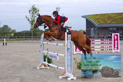 Flemming René Vinduespolering MA2 Springning Heste (140 cm) A
Keywords: dm;pt;cecilie kjaer;las vegas