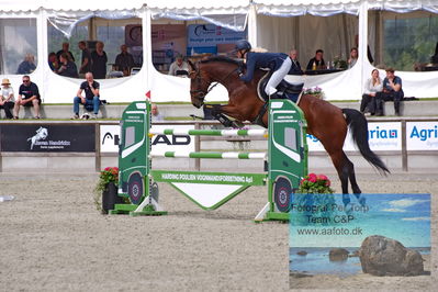 Flemming René Vinduespolering MA2 Springning Heste (140 cm) A
Keywords: dm;pt;rikke rosengaard hansen;rosengaardens francois