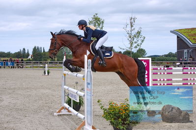 Flemming René Vinduespolering MA2 Springning Heste (140 cm) A
Keywords: dm;pt;rikke rosengaard hansen;rosengaardens francois