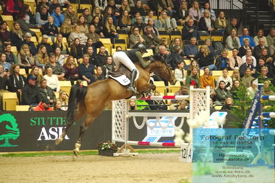 Stutteri Ask Grand Prix CSI3 Big Tour LR (273.4.3b-GP) 1.50m - In Memory of Bo Bak Andersen
International | Hest
Keywords: paula de boer-schwartz;my miss marpel