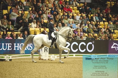 09 ECCO CDI5Grand Prix Special (GPS) - ECCO FIVE STAR DRESSAGE
Keywords: alexa fairchild;mala skalas hermes