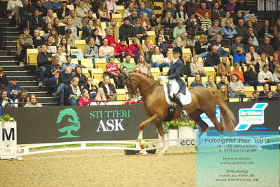 09 ECCO CDI5Grand Prix Special (GPS) - ECCO FIVE STAR DRESSAGE
Keywords: antonia von dungern;dsp queen rubin