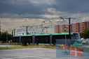 PT9_3300.jpg