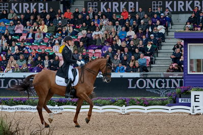 dressageg
grand prix de drassage team championship
Keywords: pt;daniel bachmann andersen;marshall-bell