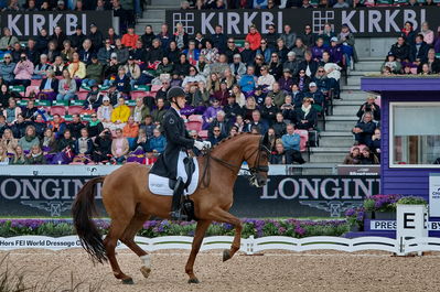 dressageg
grand prix de drassage team championship
Keywords: pt;daniel bachmann andersen;marshall-bell