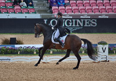 Dressage
grand prix de drassage team championship
Keywords: pt;nanna merrald rasmussen;bh zack