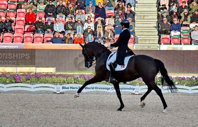 Dressage
grand prix de drassage team championship
Keywords: pt;carina cassøe krüth;heiline's danciera