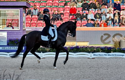 Dressage
grand prix de drassage team championship
Keywords: pt;carina cassøe krüth;heiline's danciera