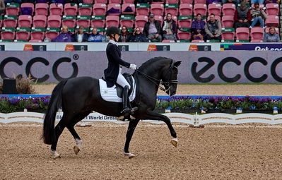 dressageg
grand prix de drassage team championship
Keywords: pt;isabel freese;total hope old