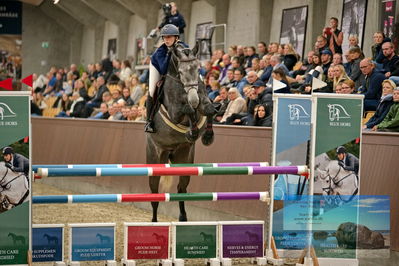 Blue Hors
5 års finale spring
Keywords: caroline knudsen;diva r