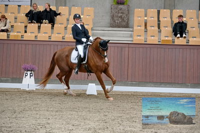 Blue Hors
dressage
Keywords: katrine springborg;springborgs abiza