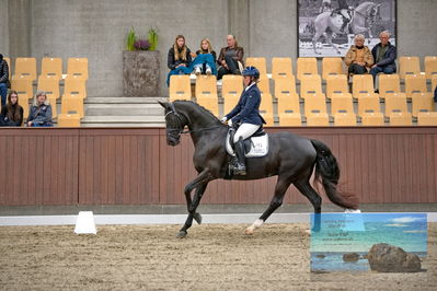 Blue Hors
dressage
Keywords: mette svare ehlers;de st malou e