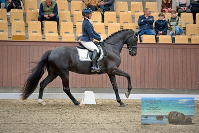 Blue Hors
dressage
Keywords: mette svare ehlers;de st malou e