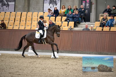 Blue Hors
4 års finale dressur
Keywords: mette sejbjerg jensen;straight horse floriana