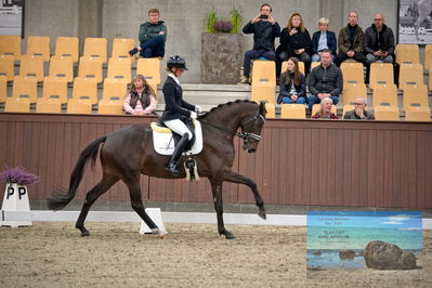 Blue Hors
4 års finale dressur
Keywords: mette sejbjerg jensen;straight horse floriana