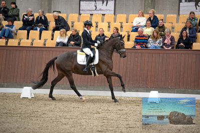 Blue Hors
4 års finale dressur
Keywords: mette sejbjerg jensen;straight horse floriana