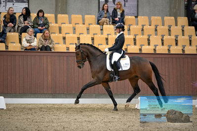 Blue Hors
4 års finale dressur
Keywords: pia thomsen;broadmoars fernando