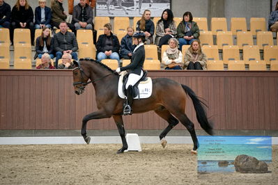 Blue Hors
4 års finale dressur
Keywords: pia thomsen;broadmoars fernando