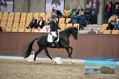 Blue Hors
4 års finale dressur
Keywords: michaela navrsted;freddie