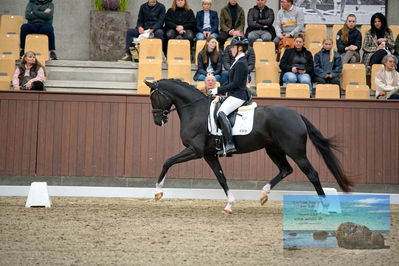 Blue Hors
4 års finale dressur
Keywords: anne-marie hosbond;fabulosa