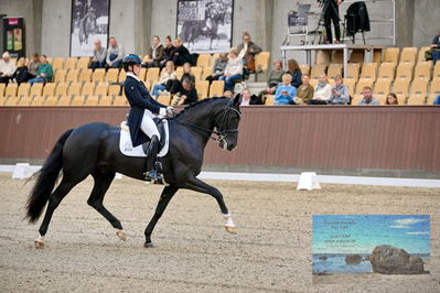 Blue Hors
7 års finale
Keywords: evo schubidoo;anne-marie hosbond