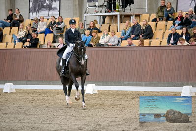 Blue Hors
7 års finale
Keywords: signe kirk kristiansen;suarez