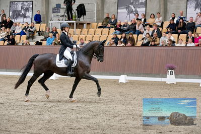 Blue Hors
7 års finale
Keywords: everian l;anna kasparcack