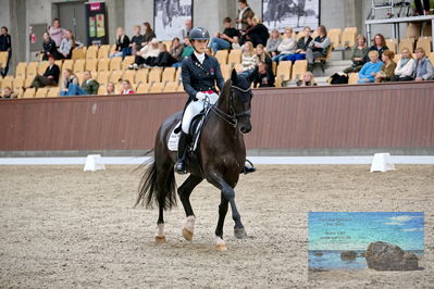 Blue Hors
7 års finale
Keywords: everian l;anna kasparcack