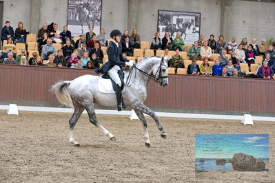 Blue Hors
7 års finale
Keywords: anders uve sjoebeck hoeck;highfive fuglsang