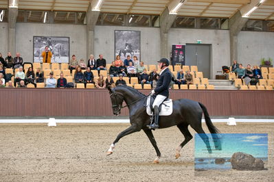 Blue Hors
5 års finale dressur
Keywords: michael soegaard;soebakkehus duffy