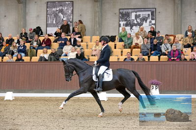 Blue Hors
5 års finale dressur
Keywords: michael soegaard;soebakkehus duffy