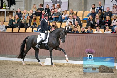 Blue Hors
5 års finale dressur
Keywords: michael soegaard;soebakkehus duffy