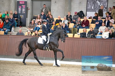 Blue Hors
5 års finale dressur
Keywords: michael soegaard;soebakkehus duffy