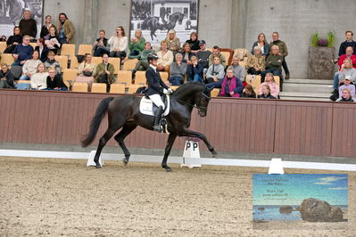 Blue Hors
5 års finale dressur
Keywords: betina jaeger jensen;so perfect