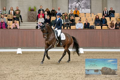 Blue Hors
5 års finale dressur
Keywords: tania joensen;blue hors vento