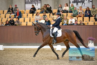 Blue Hors
5 års finale dressur
Keywords: anne-marie hosbond;danesa nord