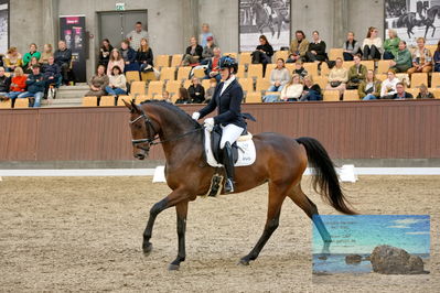 Blue Hors
5 års finale dressur
Keywords: anne-marie hosbond;danesa nord