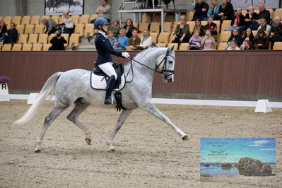 Blue Hors
6 års finale
Keywords: sissel bille jacobsen;dune nec