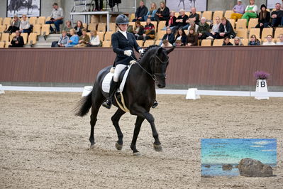 Blue Hors
6 års finale
Keywords: michelle hvid;hoejgaardens  la negro