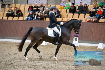 Blue Hors
6 års finale
Keywords: jan moeller christensen;hesselhoej dream