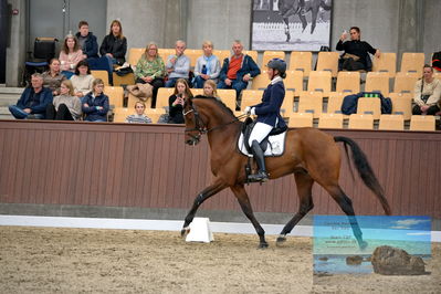 Blue Hors
6 års finale
Keywords: belinda elmholt jeppesen;ladavion b