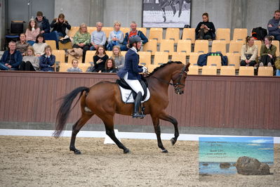 Blue Hors
6 års finale
Keywords: belinda elmholt jeppesen;ladavion b