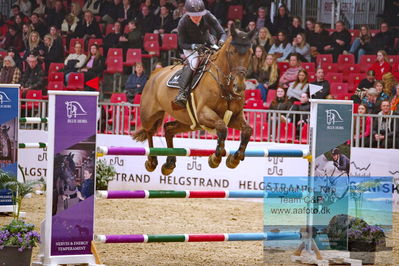 Kingsland CSI3 Medium Tour 140
Keywords: stephanie böhe;earn out d'authuit