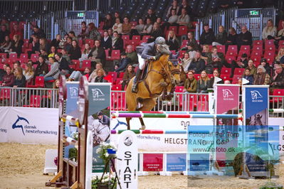 Kingsland CSI3 Medium Tour 140
